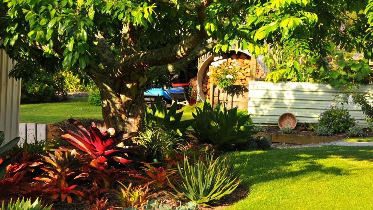 Rose Cottage Tryphena Exterior foto